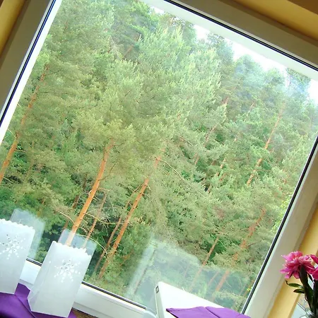 Апартаменты Apartament Forest Hoteliq Сопот
