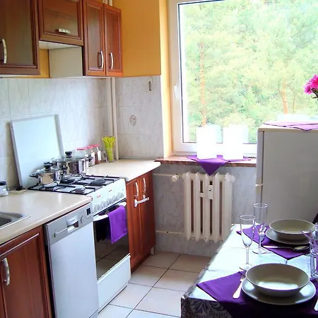Apartament Forest Hoteliq Апартаменты *
